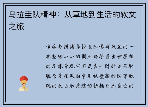 乌拉圭队精神：从草地到生活的软文之旅