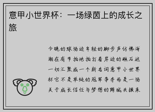 意甲小世界杯：一场绿茵上的成长之旅