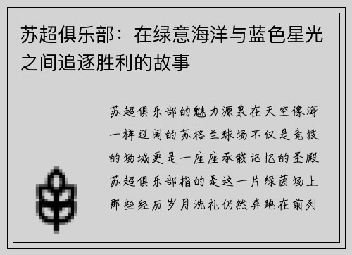 苏超俱乐部：在绿意海洋与蓝色星光之间追逐胜利的故事